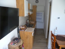 apartment damir-kitchen and tv